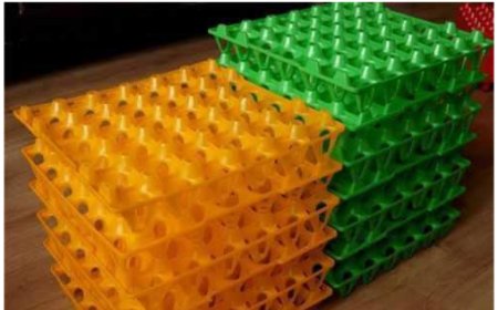 蛋托模具的制作原料